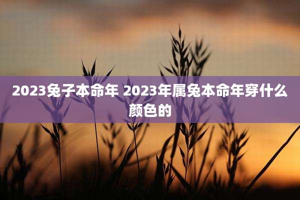 2023兔子本命年 2023年属兔本命年穿什么颜色的