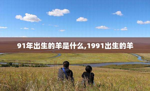 91年出生的羊是什么,1991出生的羊