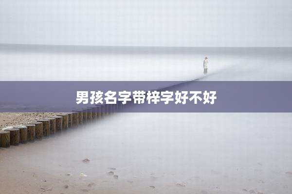 男孩名字带梓字好不好
