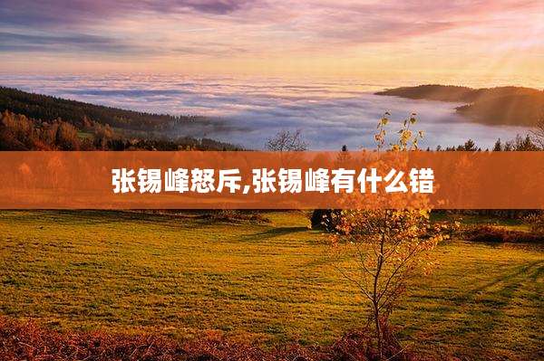 张锡峰怒斥,张锡峰有什么错