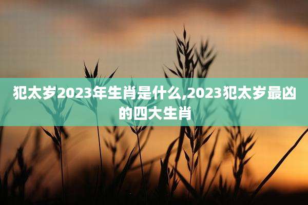 犯太岁2023年生肖是什么,2023犯太岁最凶的四大生肖
