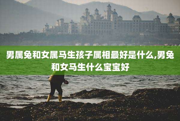 男属兔和女属马生孩子属相最好是什么,男兔和女马生什么宝宝好