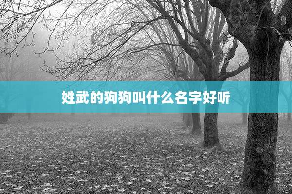 姓武的狗狗叫什么名字好听