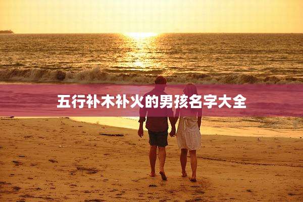 五行补木补火的男孩名字大全