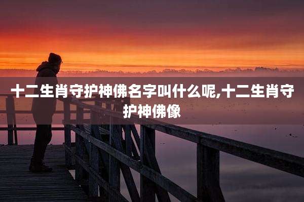 十二生肖守护神佛名字叫什么呢,十二生肖守护神佛像