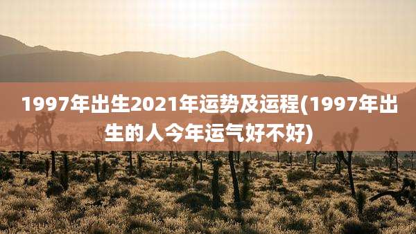 1997年出生2021年运势及运程(1997年出生的人今年运气好不好)