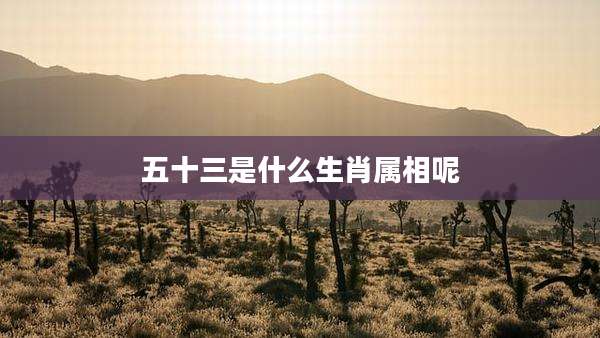 五十三是什么生肖属相呢