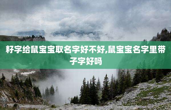籽字给鼠宝宝取名字好不好,鼠宝宝名字里带子字好吗