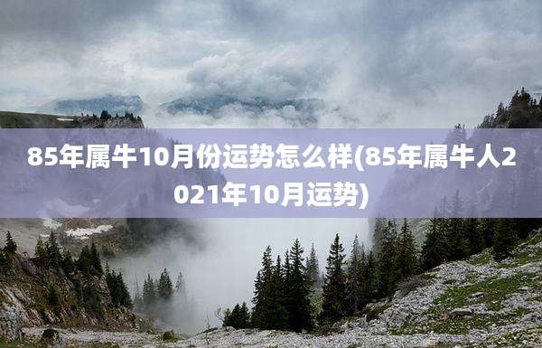 85年属牛10月份运势怎么样(85年属牛人2021年10月运势)