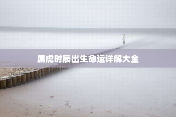 属虎时辰出生命运详解大全