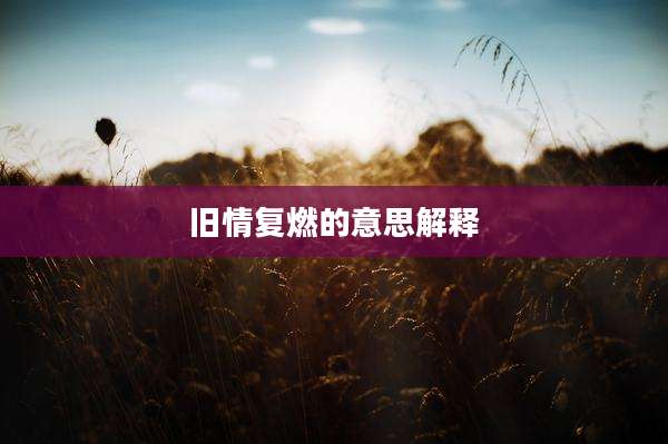 旧情复燃的意思解释