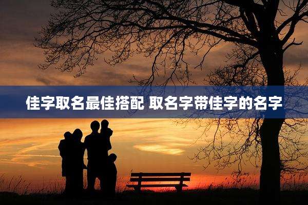佳字取名最佳搭配 取名字带佳字的名字
