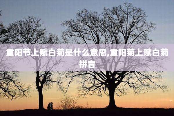 重阳节上赋白菊是什么意思,重阳菊上赋白菊拼音