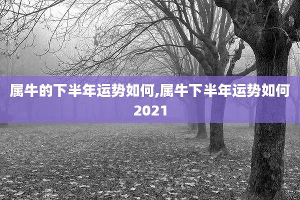 属牛的下半年运势如何,属牛下半年运势如何2021