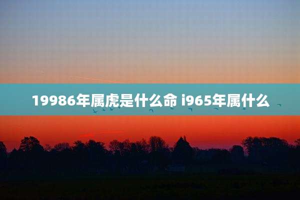 19986年属虎是什么命 i965年属什么