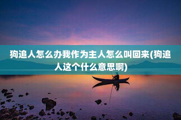 狗追人怎么办我作为主人怎么叫回来(狗追人这个什么意思啊)