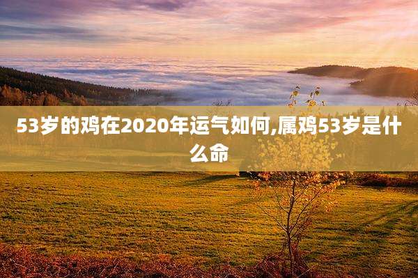 53岁的鸡在2020年运气如何,属鸡53岁是什么命