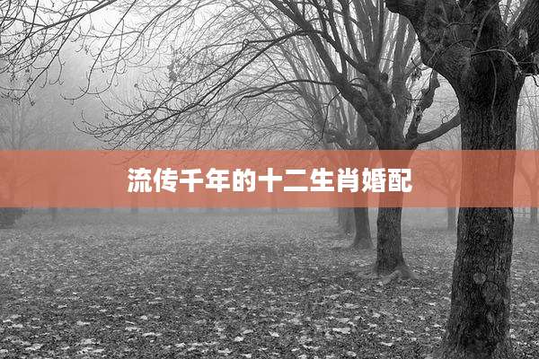 流传千年的十二生肖婚配