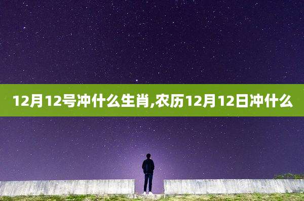 12月12号冲什么生肖,农历12月12日冲什么