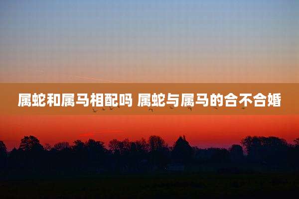 属蛇和属马相配吗 属蛇与属马的合不合婚