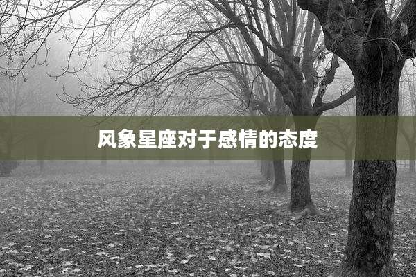 风象星座对于感情的态度