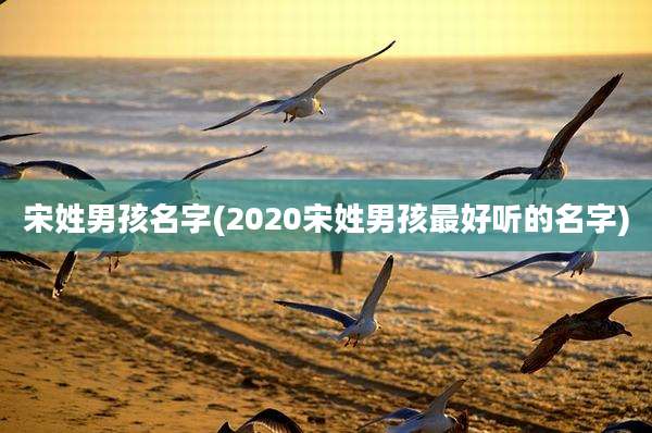 宋姓男孩名字(2020宋姓男孩最好听的名字)