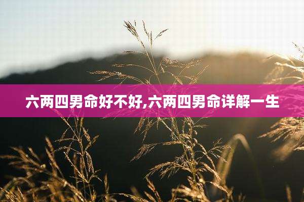 六两四男命好不好,六两四男命详解一生
