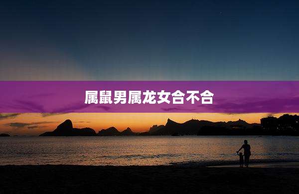 属鼠男属龙女合不合