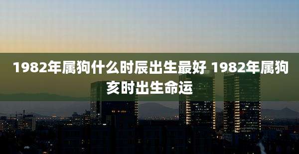 1982年属狗什么时辰出生最好 1982年属狗亥时出生命运