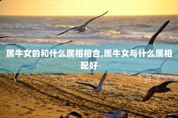属牛女的和什么属相相合,属牛女与什么属相配好
