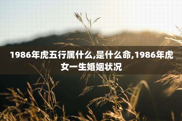1986年虎五行属什么,是什么命,1986年虎女一生婚姻状况