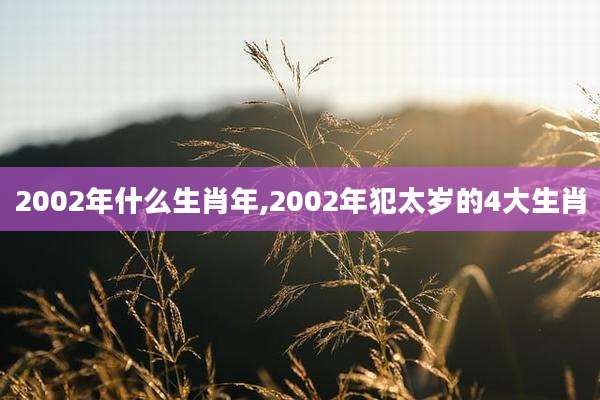 2002年什么生肖年,2002年犯太岁的4大生肖