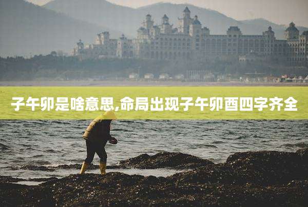 子午卯是啥意思,命局出现子午卯酉四字齐全