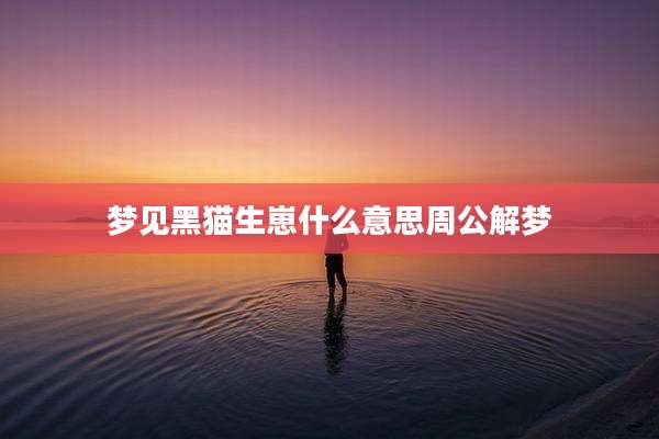 梦见黑猫生崽什么意思周公解梦