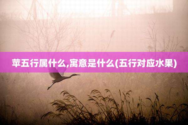 苹五行属什么,寓意是什么(五行对应水果)