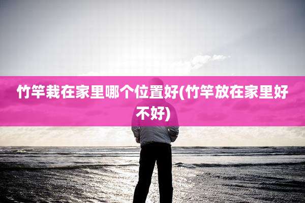 竹竿栽在家里哪个位置好(竹竿放在家里好不好)