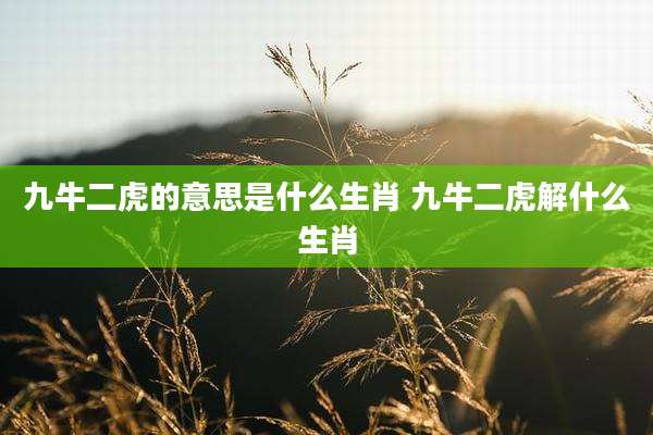九牛二虎的意思是什么生肖 九牛二虎解什么生肖