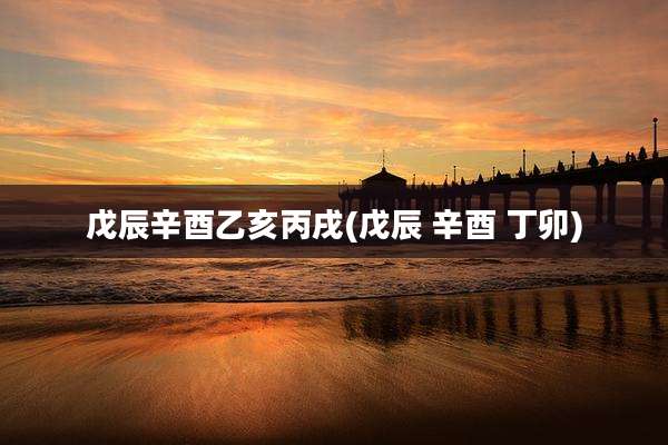戊辰辛酉乙亥丙戌(戊辰 辛酉 丁卯)