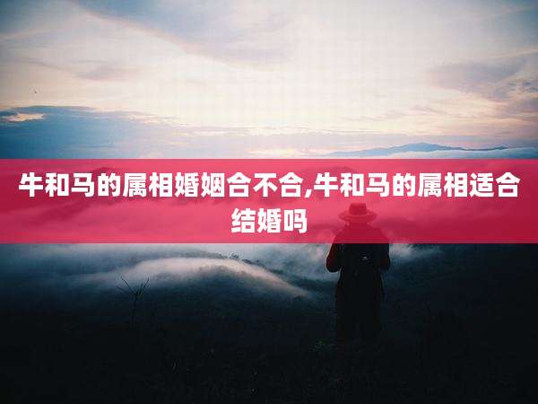 牛和马的属相婚姻合不合,牛和马的属相适合结婚吗
