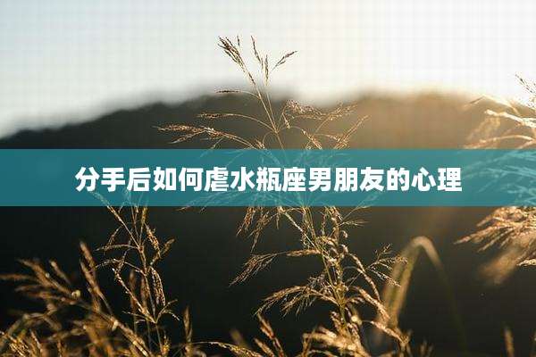 分手后如何虐水瓶座男朋友的心理