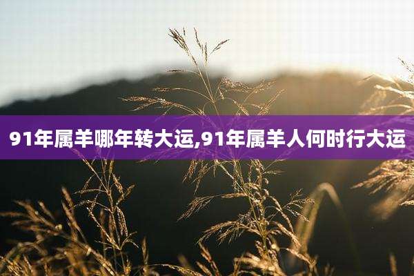 91年属羊哪年转大运,91年属羊人何时行大运