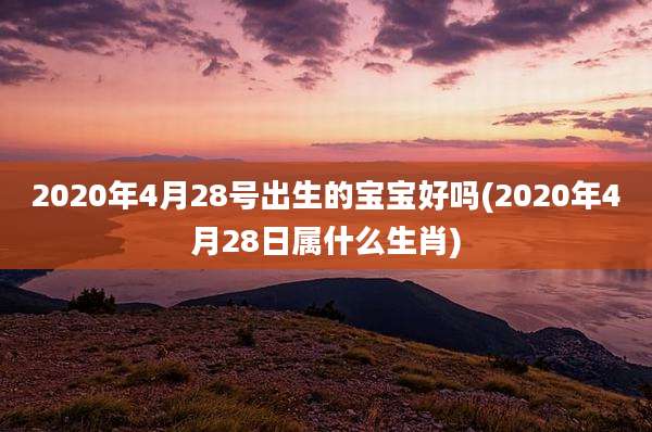2020年4月28号出生的宝宝好吗(2020年4月28日属什么生肖)