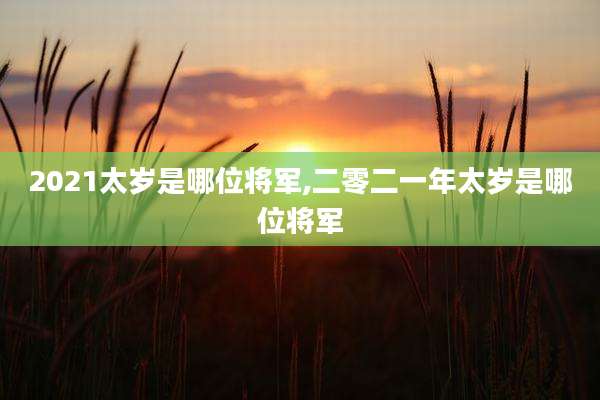 2021太岁是哪位将军,二零二一年太岁是哪位将军