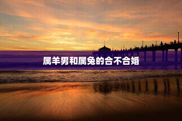 属羊男和属兔的合不合婚