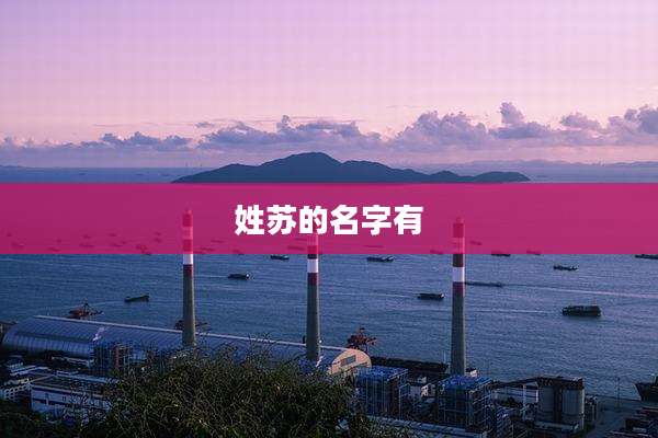 姓苏的名字有