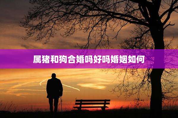 属猪和狗合婚吗好吗婚姻如何