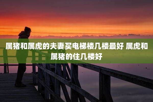属猪和属虎的夫妻买电梯楼几楼最好 属虎和属猪的住几楼好