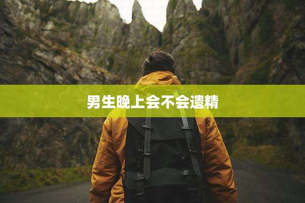 男生晚上会不会遗精