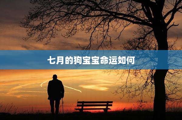 七月的狗宝宝命运如何