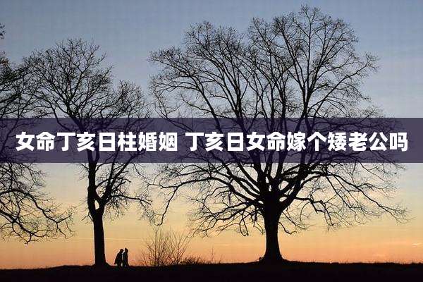 女命丁亥日柱婚姻 丁亥日女命嫁个矮老公吗
